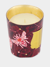 Trudon Nazareth Clove and Orange Candle 270gr