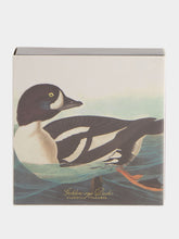 Archivist Golden-Eye Duck Matches