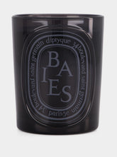 Diptyque Baies Medium Candle 300gr