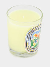 Diptyque Citronnelle Classic Candle 190g