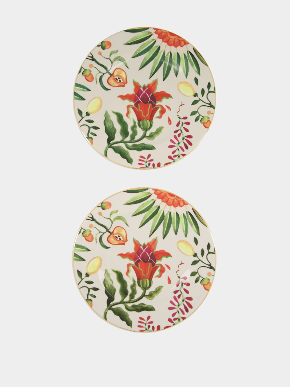 Set of 2 Eden Dinner Plates