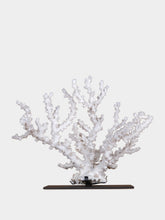 One of a Kind White Octopus Coral