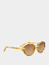 Casablanca Brown and Gold Cannes Sunglasses