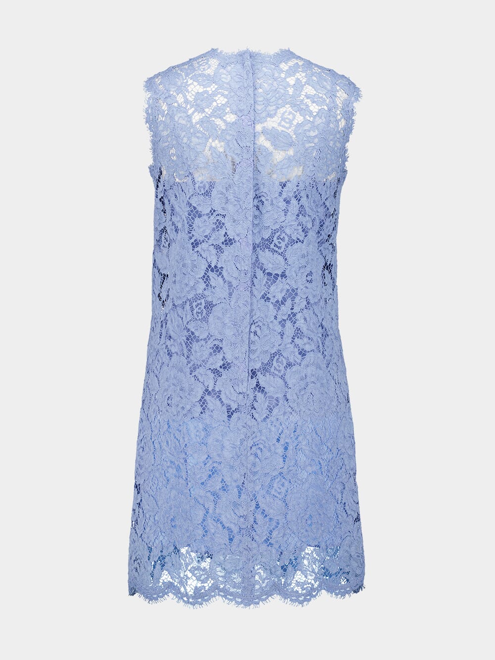 Sleeveless Floral Lace A-Line Dress