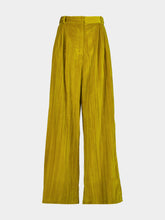 Paula Francis Golden Palm Velvet Plissé Pants