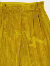 Paula Francis Golden Palm Velvet Plissé Pants