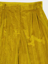 Paula Francis Golden Palm Velvet Plissé Pants