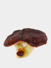 Cereria Introna Double Mushroom Wax Candle