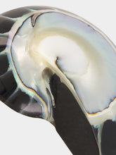 Julietta Black Nautilus Shell Clip-On Earrings