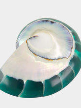 Julietta Green Nautilus Shell Clip-On Earrings