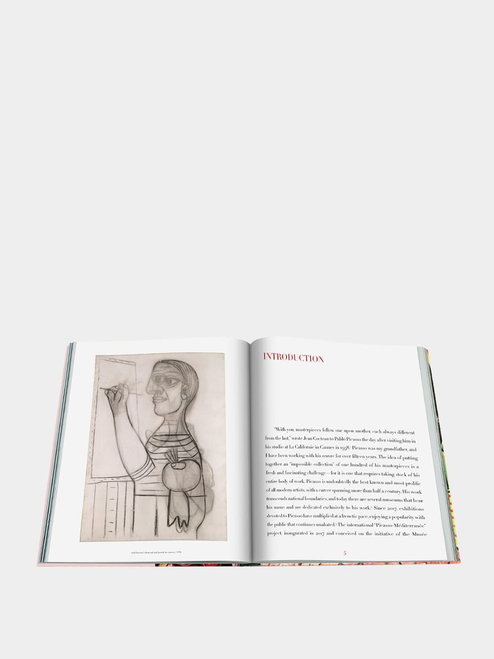 Pablo Picasso: The Impossible Collection