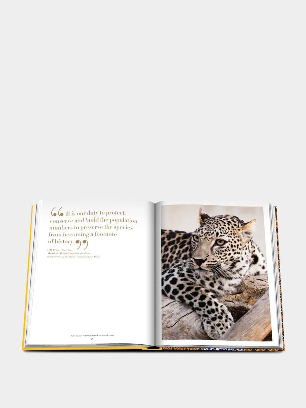 Arabian Leopard