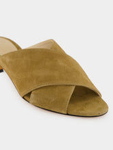 Le Monde Beryl Taupe Suede Luca Kitten Mules