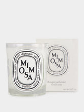 Diptyque Mimosa Classic Candle 190gr