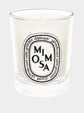 Diptyque Mimosa candle 70g
