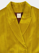 Paula Olimpia Golden Palm Velvet Plissé Blazer