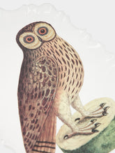 Astier de Villatte Platter Owl