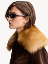 Saint Laurent Light Havana SL 557 Shade Plump Sunglasses