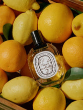Diptyque L