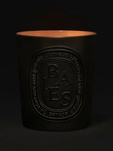 Diptyque Baies Black Candle 600g