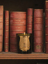 Trudon Ernesto Leather & Tobacco Candle 270gr