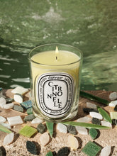 Diptyque Citronnelle Classic Candle 190g