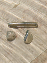 Leitão & Irmão Silver Clam Shell Box