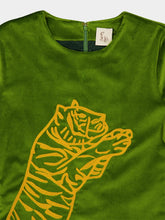 Paula Selene Garden Green Velvet Dress