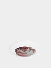 Astier de Villatte Small Rose and Insect Dish