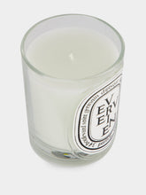 Diptyque Verveine Classic Candle 190gr