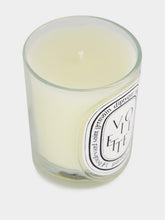Diptyque Violette Classic Candle 190gr