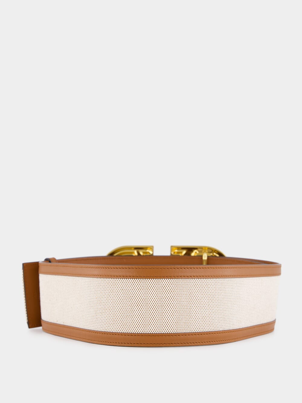 VLogo Signature Canvas Belt