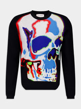 Alexander McQueen Skull Sweater