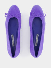 Manolo Blahnik Veralli Flat Suede Ballerinas